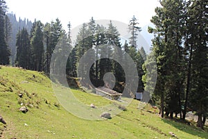 Scenic landscape view in the valley of Pahalgam, Kashmir, India