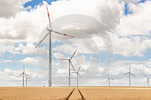 Scenic landscape view of wheat field harvest and big modern wind turbine mill farm against beautiful clouds blue sky