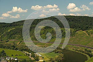 Scenic landscape of vineyards alongside the river Moselle near Puenderich, Germany on a sunny day