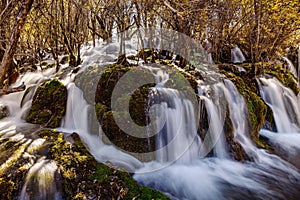 Scenic landscape of woodland featuring a cascading waterfall