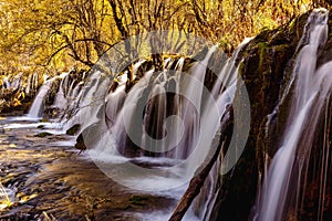 Scenic landscape of woodland featuring a cascading waterfall