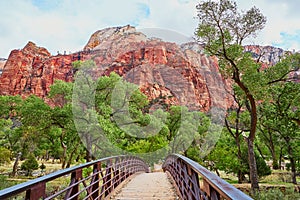 Scenic landscape in Zion national park, USA