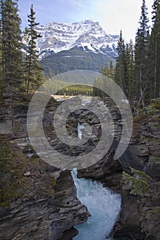 Scenic landscapes in Jasper National Park, Alberta, Canada