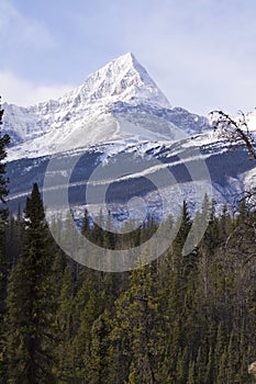 Scenic landscapes in Jasper National Park, Alberta, Canada