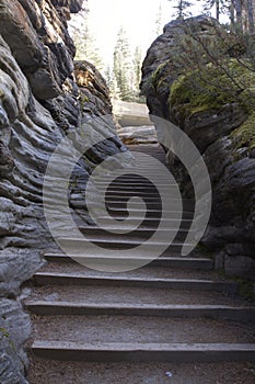 Scenic landscapes in Jasper National Park, Alberta, Canada