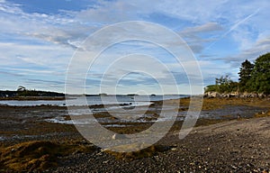 Scenic Low Tide on an Island in Casco Bay