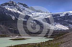 Scenic Lyell Glacier Canadian Rocky Mountains Icefields Landscape Summer Alpine Hiking