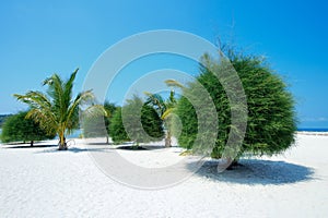 Scenic Malibu beach on Koh Phangan, Thailand