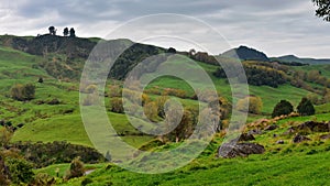 Scenic Mangaotaki Valley in New Zealand