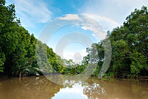 Scenic mangrove view of Kota Belud, Sabah,Malaysia.