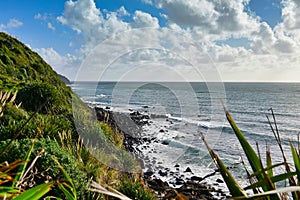 Scenic Manu Bay in New Zealand