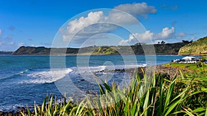 Scenic Manu Bay in New Zealand