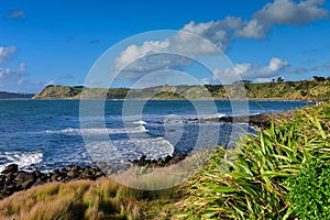 Scenic Manu Bay in New Zealand