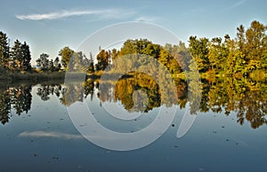 Scenic marshland during autumn time