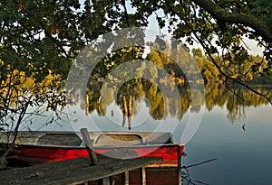 Scenic marshland during autumn time