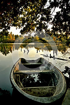 Scenic marshland during autumn time