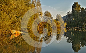 Scenic marshland during autumn time