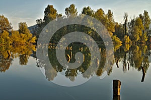 Scenic marshland during autumn time