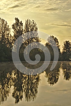 Scenic marshland during autumn time