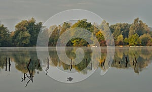 Scenic marshland during autumn time