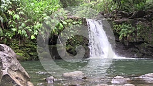 Scenic Maui Waterfall