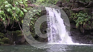 Scenic Maui Waterfall Landscape