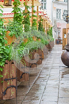 Scenic medieval style outdoor terrace with plants