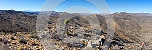 Scenic Mojave Desert Panoramic Landscape Sunny Day