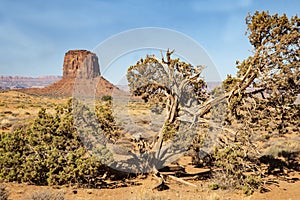 Scenic Monument Valley National Park on a sunny day.