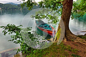 Scenic morning view of St. Martin`s Parish Church near Bled Lake. Beautiful autumn weather during sunrise.