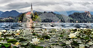 Scenic morning view of St. Martin`s Parish Church near Bled Lake. Beautiful autumn weather during sunrise.