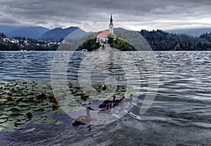 Scenic morning view of St. Martin`s Parish Church near Bled Lake. Beautiful autumn weather during sunrise.