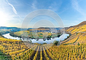 Scenic Mosel river loop in Trittenheim