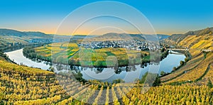 Scenic Mosel river loop in Trittenheim