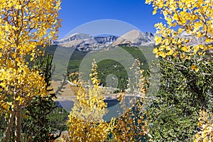 Scenic Mountain Drive Through Aspens