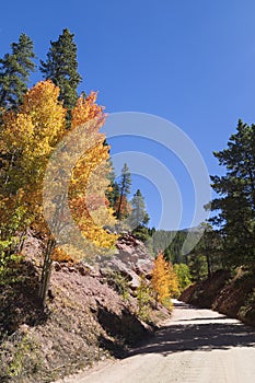 Scenic Mountain Drive Through Colorful Aspens