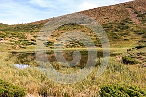 Scenic mountain lake with green grass and blue sly. Natural pond in hills. Countryside and valley background.