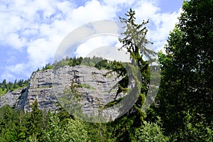 scenic mountain, mountain range in france, Graian Alps, beautiful natural landscape of Mont Blanc in summer framed by green trees