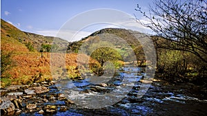 Scenic mountain river in Springtime