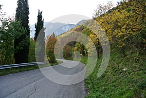Scenic Mountain Road photo