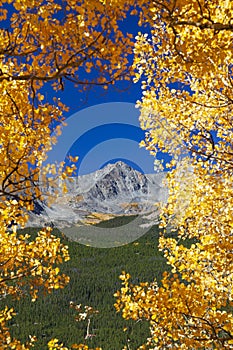 Scenic Mountain View Through Aspens