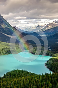 Scenic mountain view of Peyto lake, Canadian Rockies
