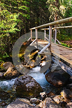 Scenic Mountain Views