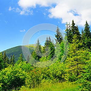 Scenic mountains, meadows and blue sky