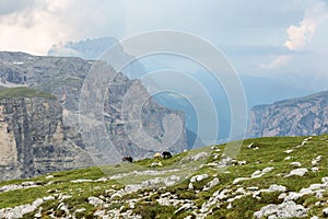 Scenic Mountains in Puez-odle nature park in the dolomites, Italy