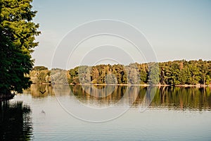 Scenic natural scenery with leafy trees of a forest surrounding a still lake