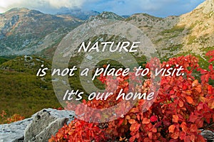 Scenic nature background with text