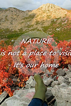 Scenic nature background with text