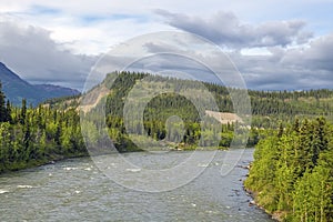 Scenic Nenana River