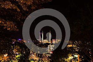 Scenic night landscape of Konya city. Illuminated Mosque in Hac?veyisza in the background. Tree leave border. Nature composition.